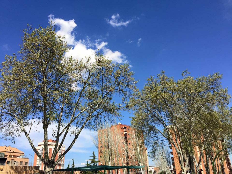 [포토] 스페인 마드리드 푸른 하늘 x 맑은 공기