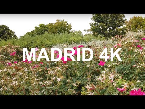 [SpainAgain] Flowers – Park Juan Carlos I – Walking in Madrid, Spain Travel 4K