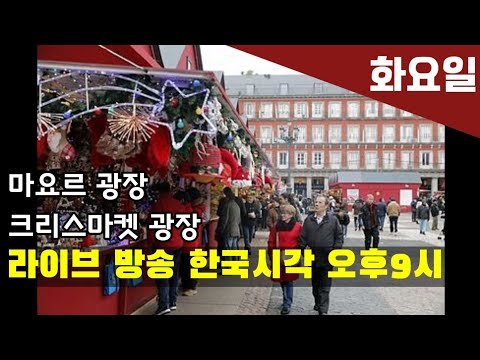 [고고스페인] 마요르광장 라이브