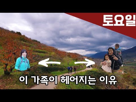 [고고스페인] 이 가족이 헤어지는 이유 | 코로나를 피해 산속으로 간 이유 | 스페인 브이로그