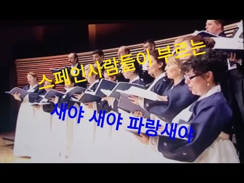 [에스파냐아리랑] 스페인 합창단의 새야 새야 파랑새야~ 저희 밀레니엄합창단 구독자 여러분들께 메세지 보냅니다!